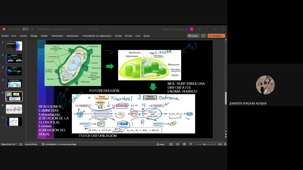 PAMER SEMESTRAL 2023 | Tema C | Biología