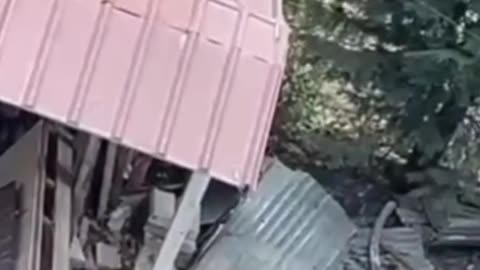 Sherri i madh në fshatin turistik Tushemisht, Pogradec