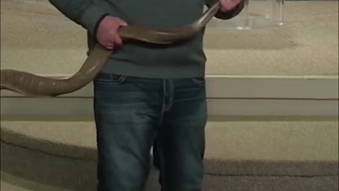 Decreeing if You Ask Seek and Knock God Will Speak Your Answer is Here