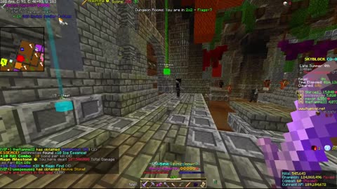 Skyblock FLOOR 7 [#2681]