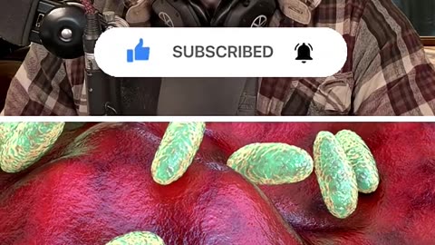 MattMorseTV - Bad news for Newsom.