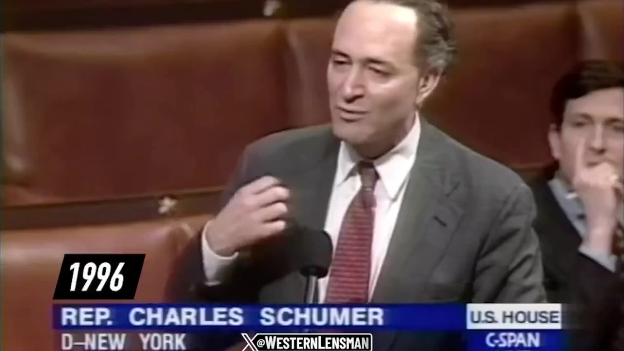 Chuck Schumer the father of #DOGE 1996