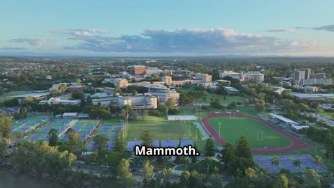 A $150M Power Move: The Utah Jazz’s Real Estate Play Explained