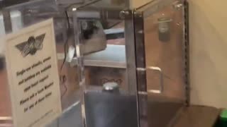 Wingstop in Oakland: Life Behind Bulletproof Glass
