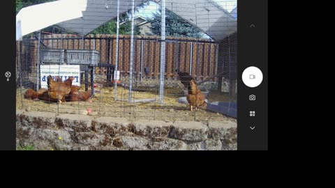 America - Your SNAP EBT Food Stamps Are Ending in a Few Days!