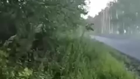 Ukrainian troops ambush Russian truck