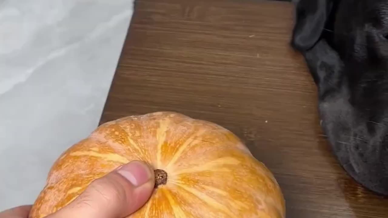 This puppy can cut fruit