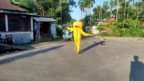Bunny Funny Prank Video