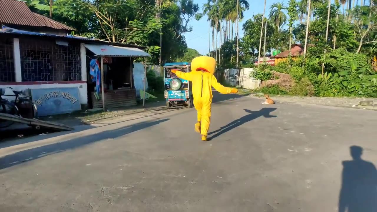 Bunny Funny Prank Video