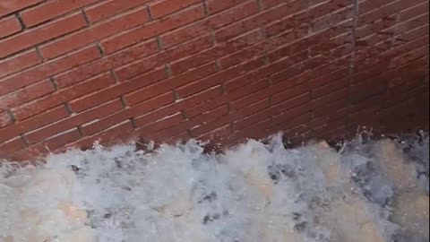 Home Alone and the Pool Breaks