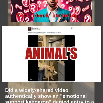 Fact Check: FAKE Video Shows 'Emotional Support Kangaroo' Denied Entry to Plane