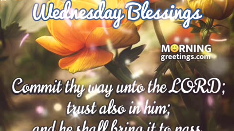 LIVING IN GRACE - DAILY DEVOTIONAL ❤️