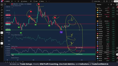 SHIB 16% PUMP After This Happens? SET YOUR ALERTS!