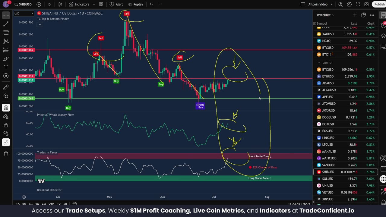 SHIB 16% PUMP After This Happens? SET YOUR ALERTS!