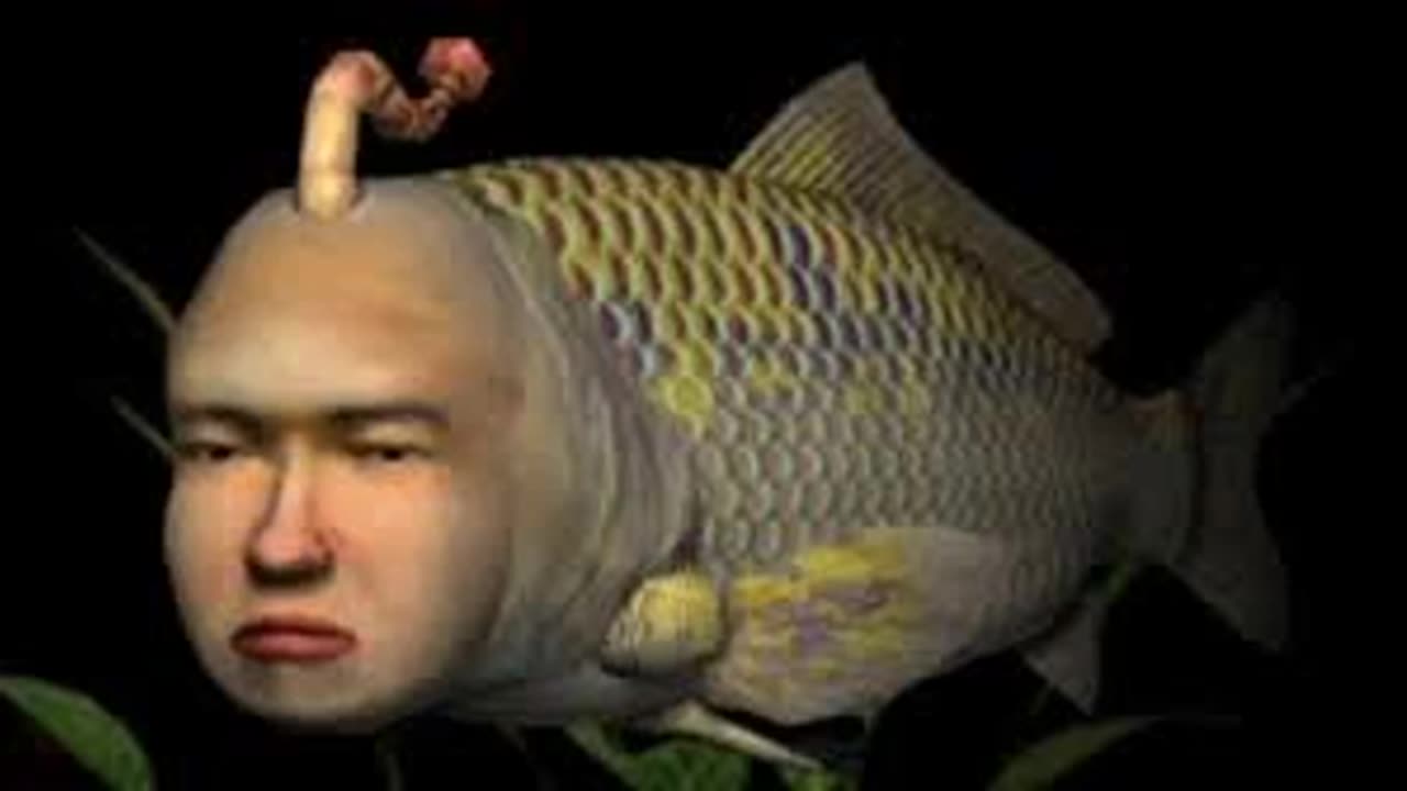 Strange Video Games