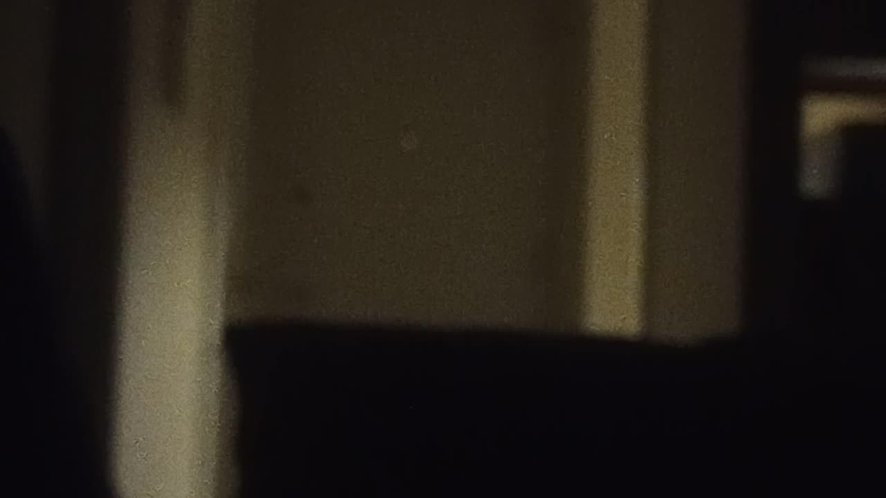 8/3/2025