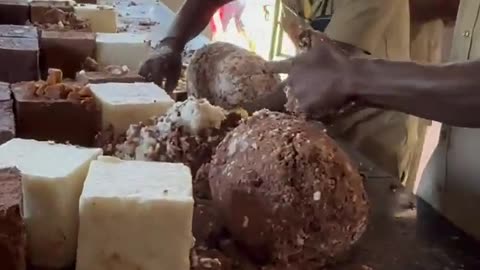 🤯✨ Elephant Caretakers Roll Massive Food Balls in Forest! | FeedMyCuriosity