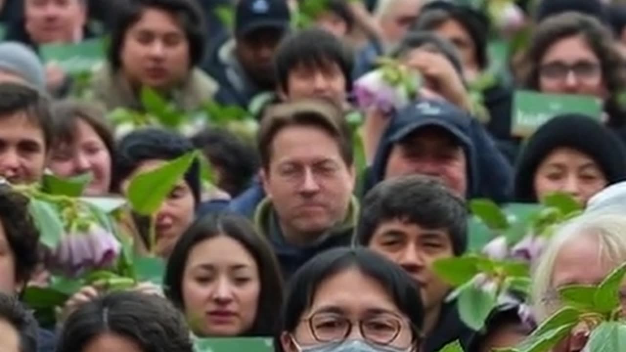 Daniel Radcliffe's Secret in Nashville