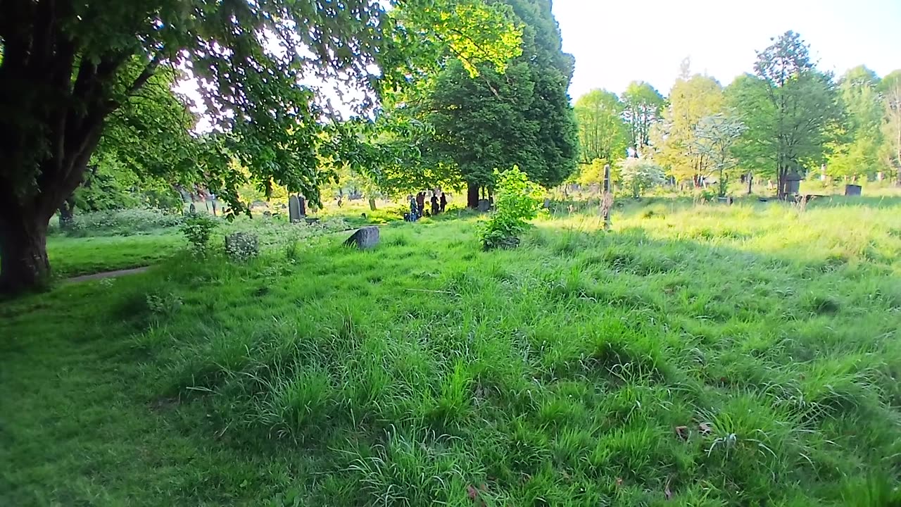 Pack of savage dog walkers who on film state they will be having my dogs as their next meal