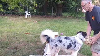 Soccer ball play with platforms and balance beams 4