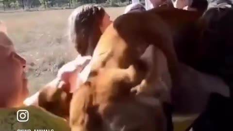 😍🐱 Big Cats Just Want to Cuddle! | FunFM