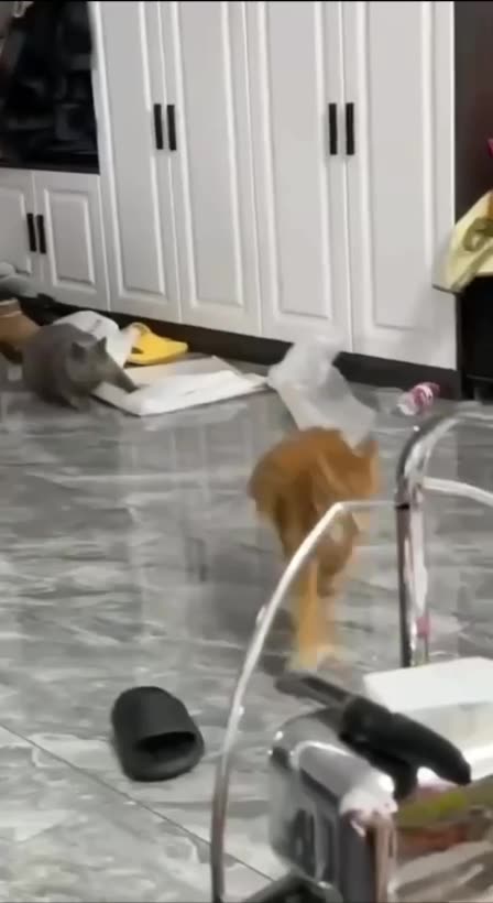 Graceful retreat 🤣