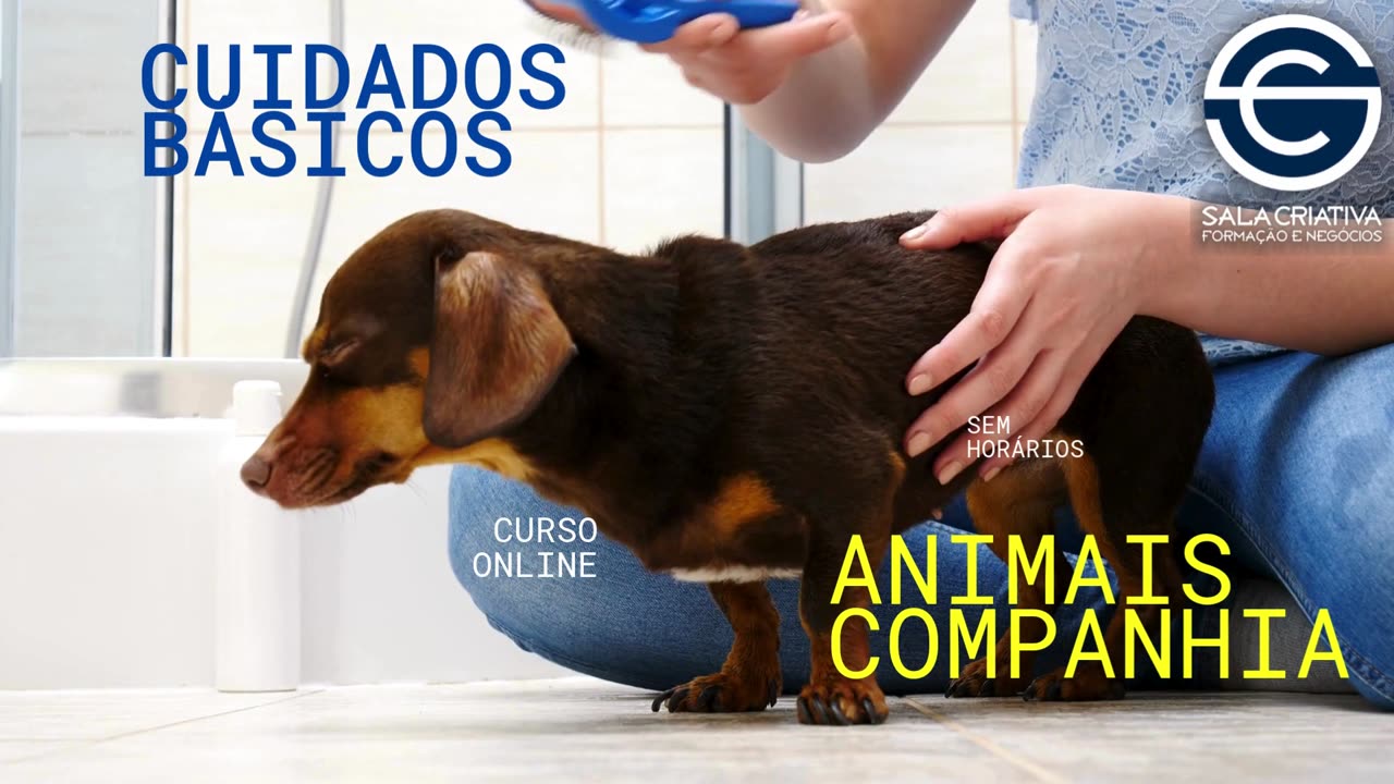 Cuidados Básicos em Animais de Companhia
