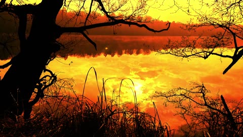 Ultimate White Noise For Relaxation & Sleep