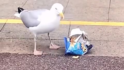 🛒😂 Shopping Just Got HILARIOUS! | FunFM