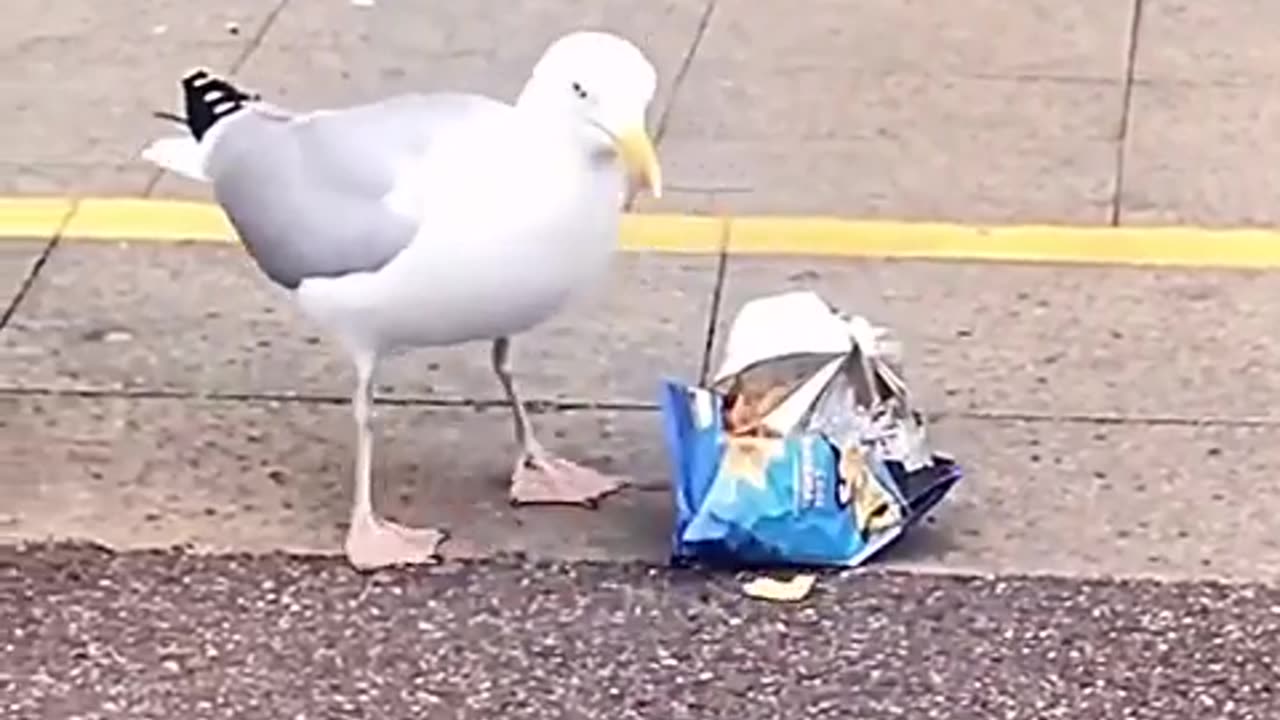 🛒😂 Shopping Just Got HILARIOUS! | FunFM