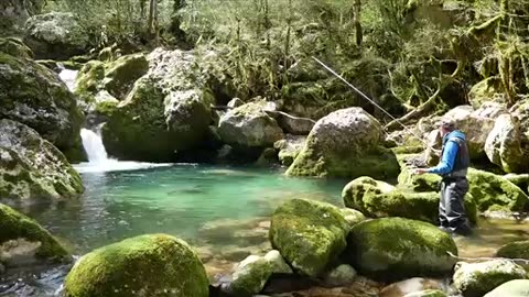 Le beau torrent