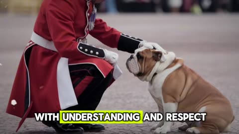 Tourist Unleashed His BULLDOG on the Royal Guard—What Happened Next Left the Crowd Speechless