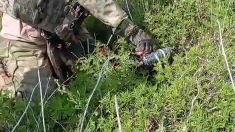 💣🛠️ Ukraine Russia War | Russian Sapper Disarms Explosive from Ukrainian FPV Drone | RCF