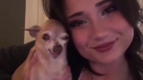 😂🐶 You Won't Believe This Pup's Traumatic Experience! Dog Fails | FunFM