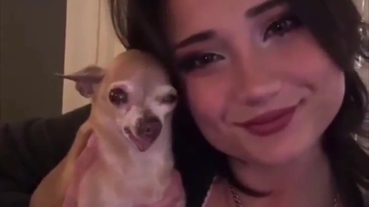 😂🐶 You Won't Believe This Pup's Traumatic Experience! Dog Fails | FunFM