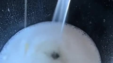 From Cow to Cup: The Milk Givers