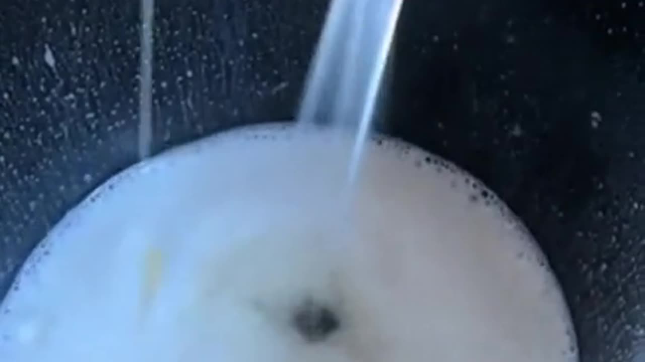 From Cow to Cup: The Milk Givers