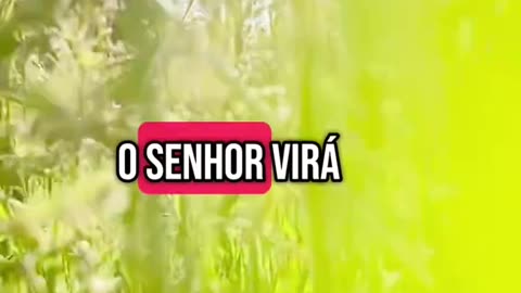 Jesus tá Voltando
