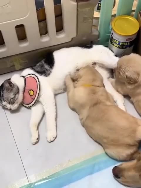 Mothers helping each other out 😊😍