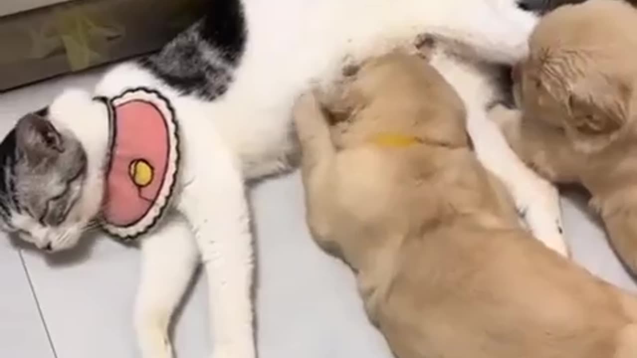 Mothers helping each other out 😊😍