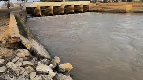 My Village #maxrecords #villagelife #larkana #sindh #pakistan