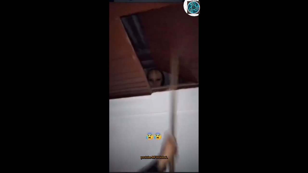 #top secret file 556#ghost in the hous 336