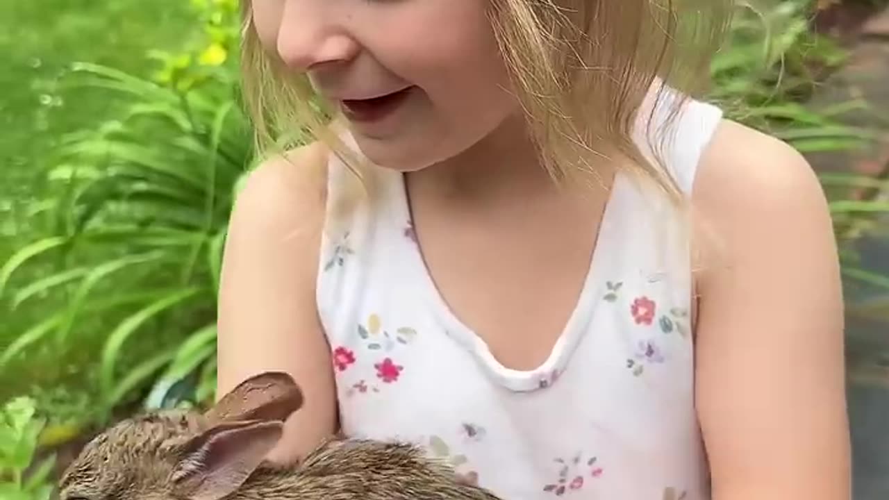 cute pet