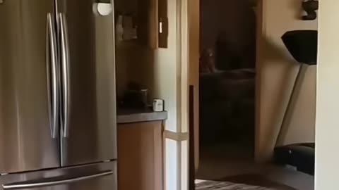 😱👻 3 Videos of Real Demons! | TheHauntingHour