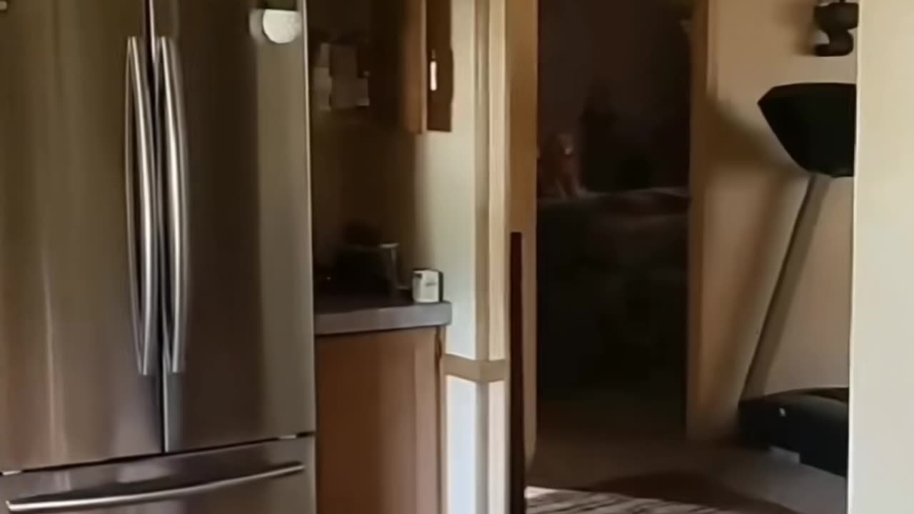 😱👻 3 Videos of Real Demons! | TheHauntingHour