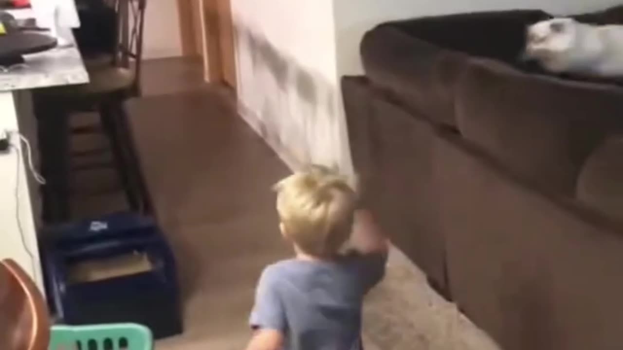 Cat & baby funny fight🐈👶😁😆😅🤣
