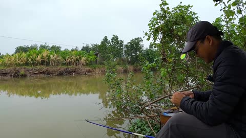 My Best Day Fishing for Roach by the River