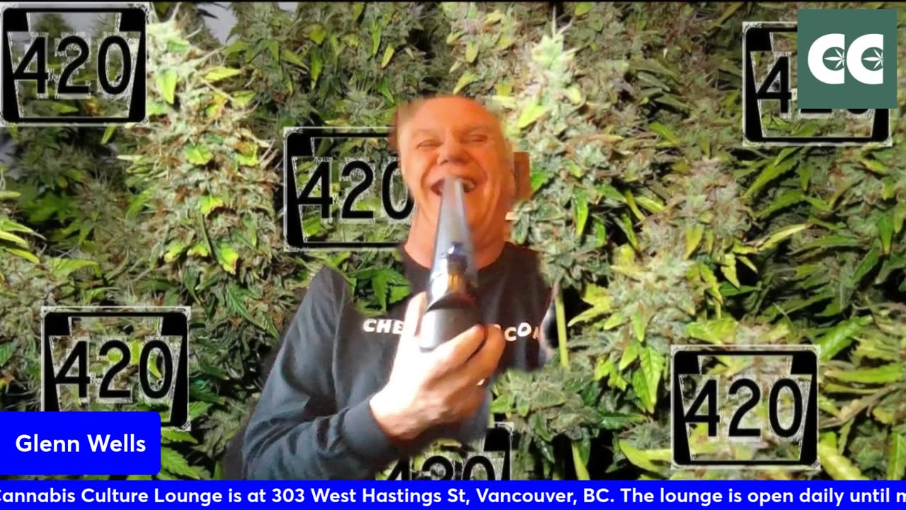 The THC show with Glenn Wells