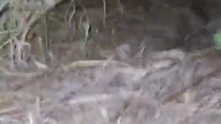 🛸🕵️‍♂️ Ukraine Russia War | Night Hunt for Ukrainian Drones in Oryol Oblast | RCF