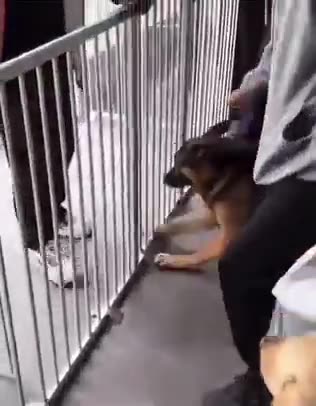 Leaving the kid at the kindergarten for the first time